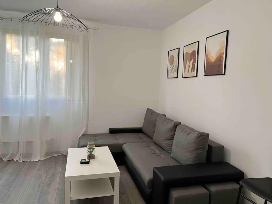 Appartement Renove - Vandoeuvre Les Nancy Exterior photo